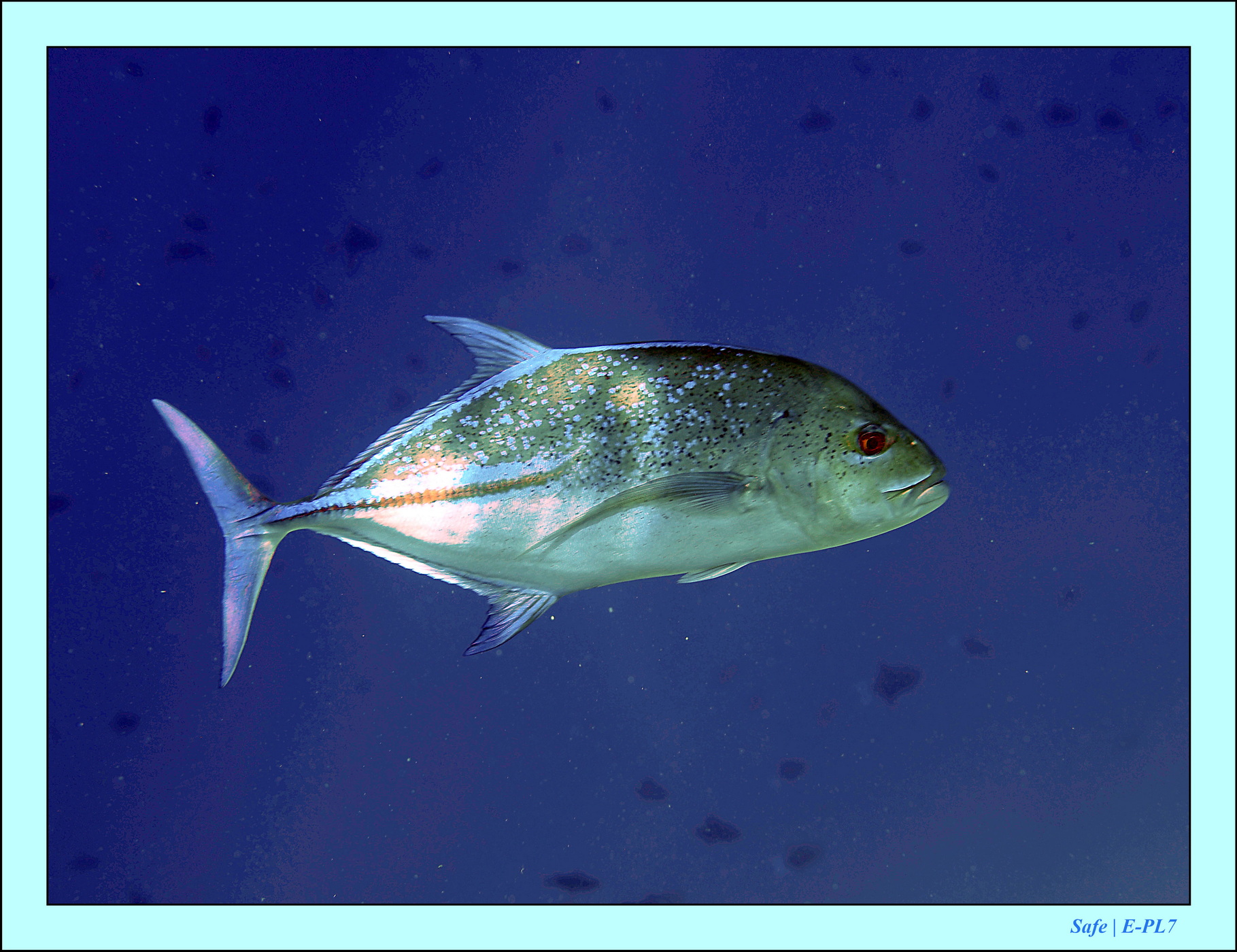 2023 - 07 - Sandies Bathala - 172